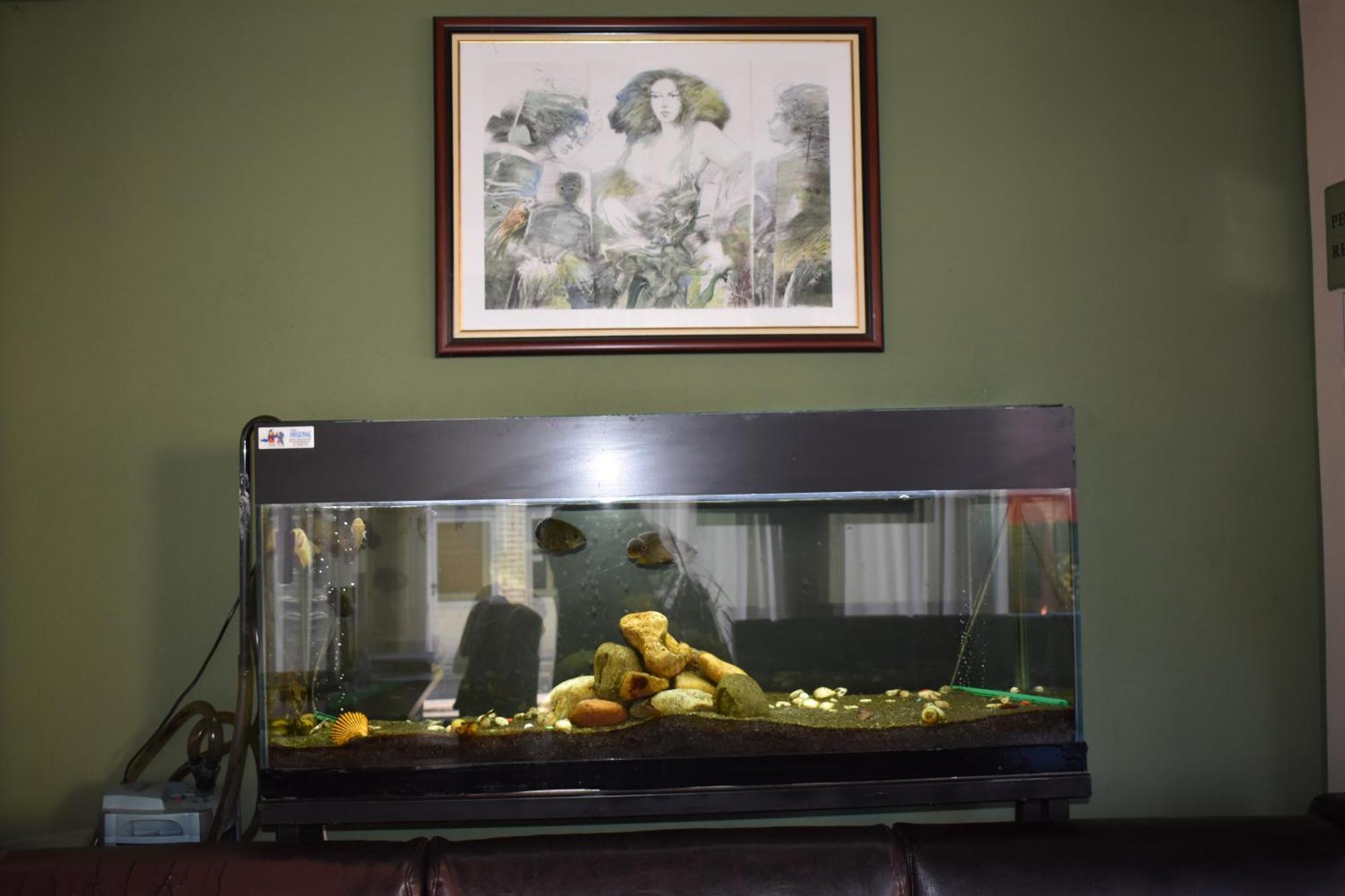 Garni Hotel Lion ยาโกดินา ภายนอก รูปภาพ